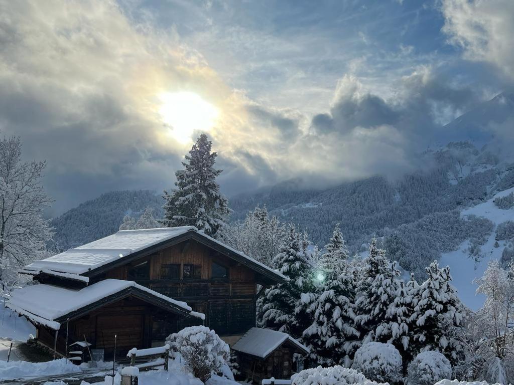 Superbe Chalet Ле-Контамін-Монжуа Екстер'єр фото
