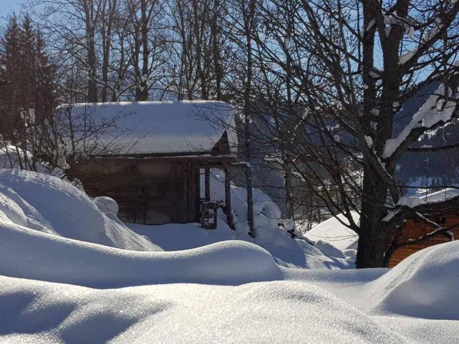 Superbe Chalet Ле-Контамін-Монжуа Екстер'єр фото